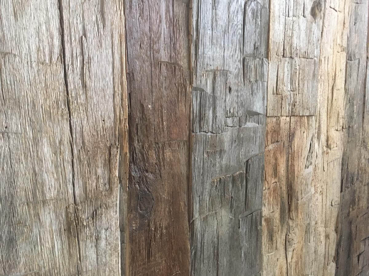 Hand Hewn Skin Wall 3