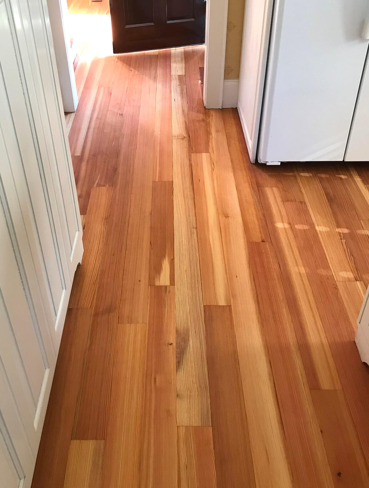 heartwood and sapwood in heart pine floor
